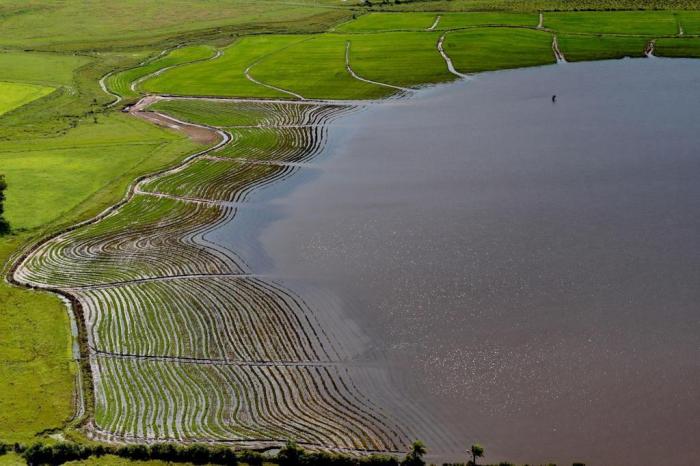 Com as chuvas que atingem o Rio Grande do Sul desde a semana passada, castigando principalmente a Fro nteira Oeste e a Campanha, o setor agrícola não escapa do prejuízo – em especial nas lavouras […]