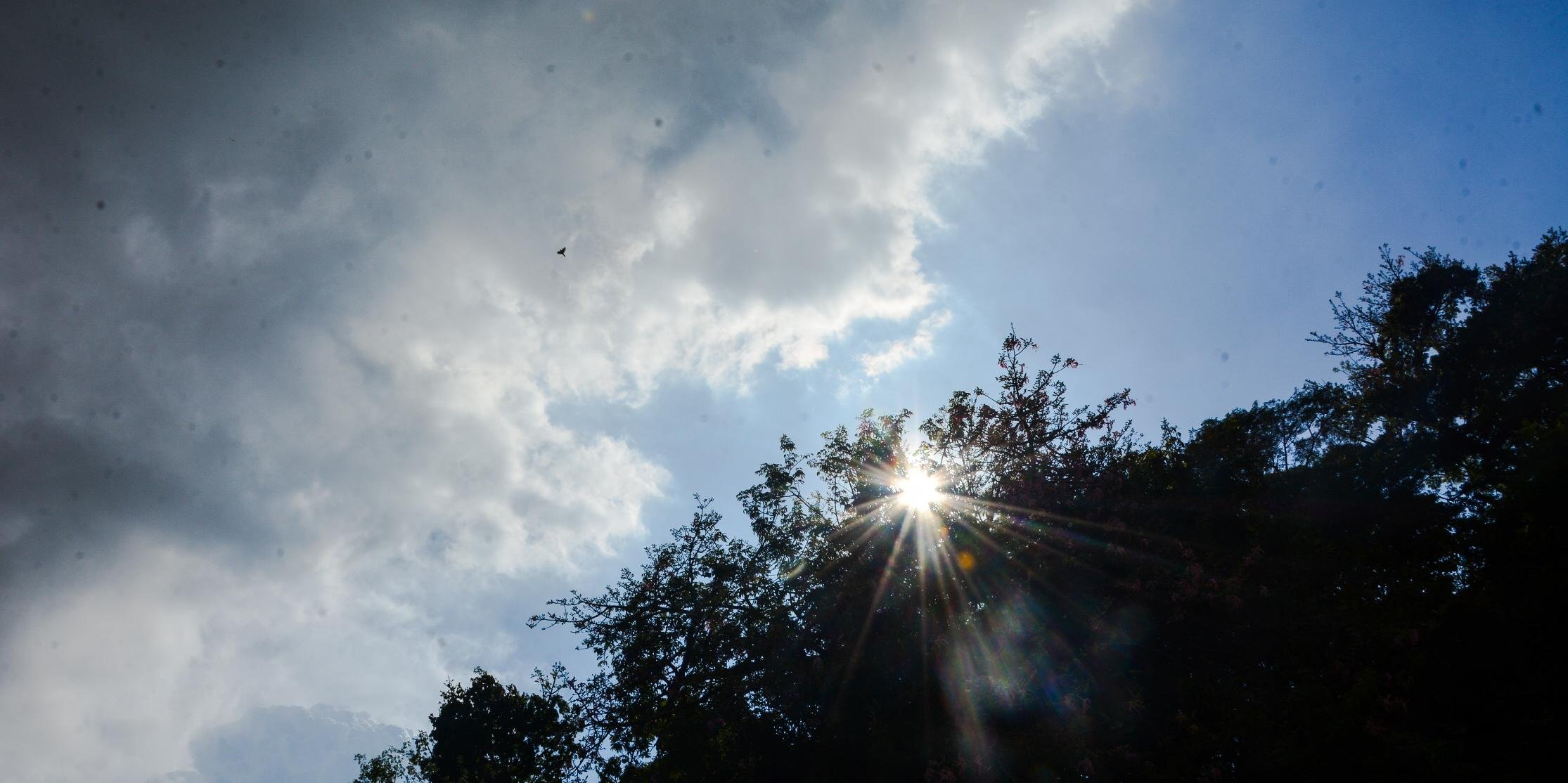 Porto Alegre terá máxima de 26°C ao longo do dia O sol aparece em todo o Rio Grande do Sul nesta quinta-feira, mas com a presença de nuvens em algumas […]