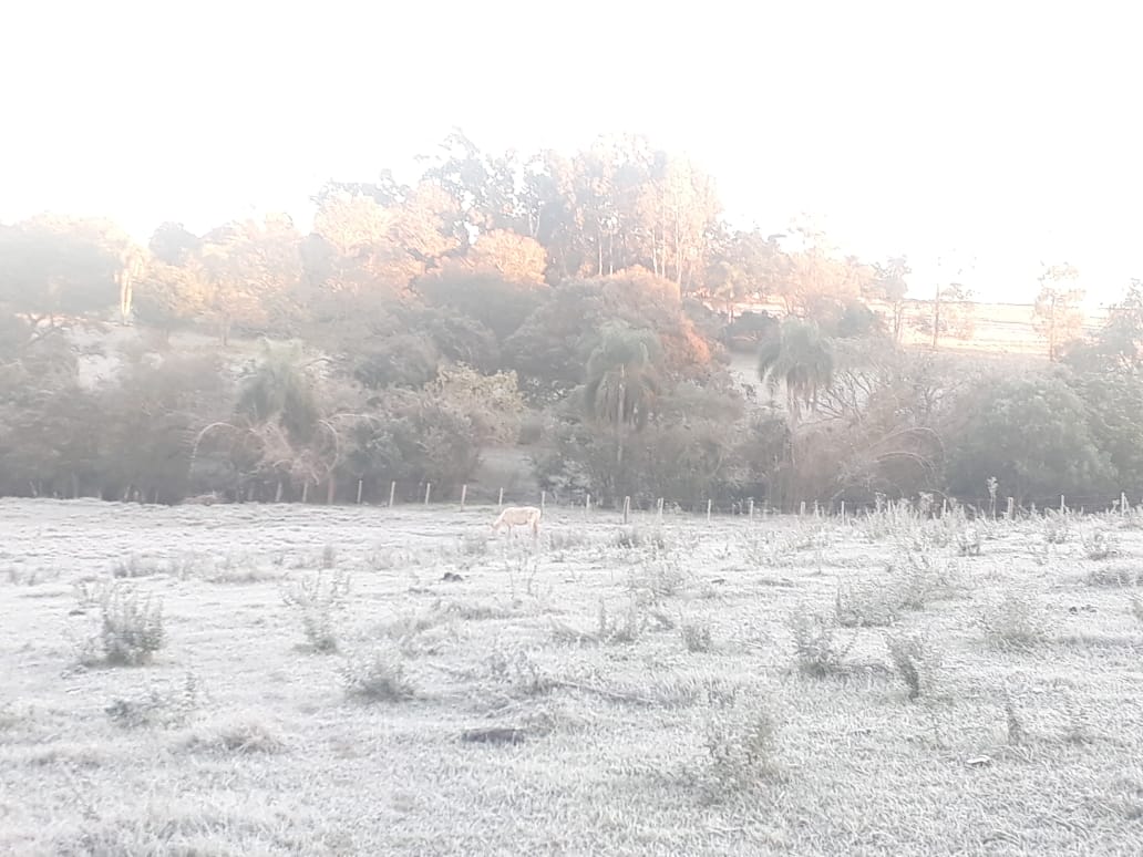 Madrugada foi marcada por temperaturas negativas em municípios gaúchos Após pelo menos cinco municípios gaúchos registrarem neve entre o fim da noite de sexta-feira (5) e a madrugada deste sábado (6), o Rio […]