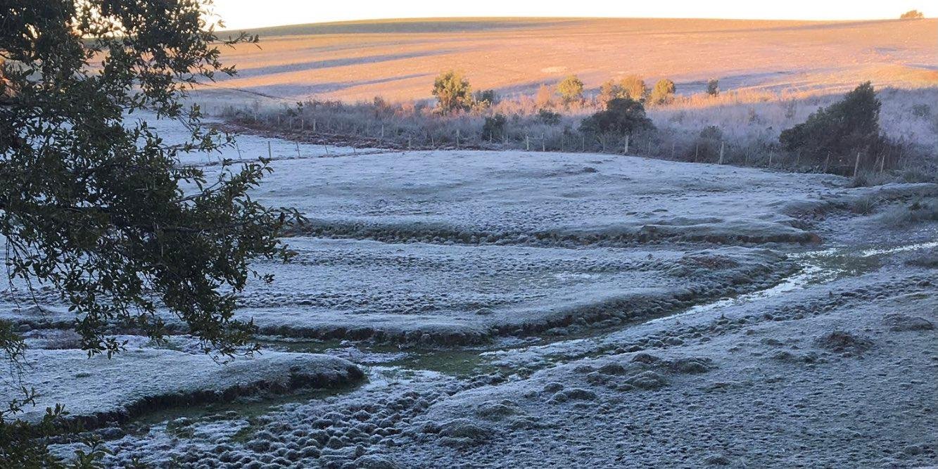 Pinheiro Machado registrou -8,0°C nas primeiras horas do dia O Rio Grande do Sul registrou temperaturas negativas no amanhecer deste domingo em algumas cidades. Segundo a MetSul Meteorologia, os munícipios […]