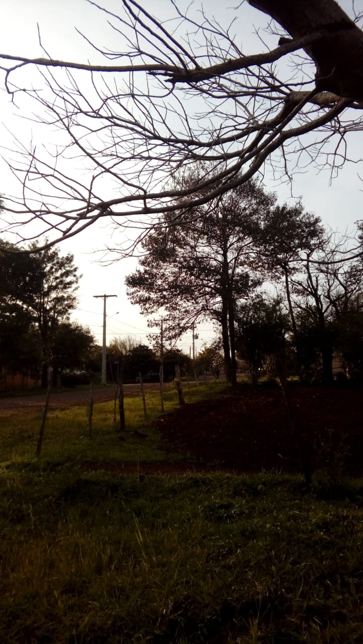 O amanhecer segue gelado em grande parte do Rio Grande do Sul nesta quinta-feira. Em algumas cidades, como São José dos Ausentes e Caxias do Sul, a temperatura chegou perto […]