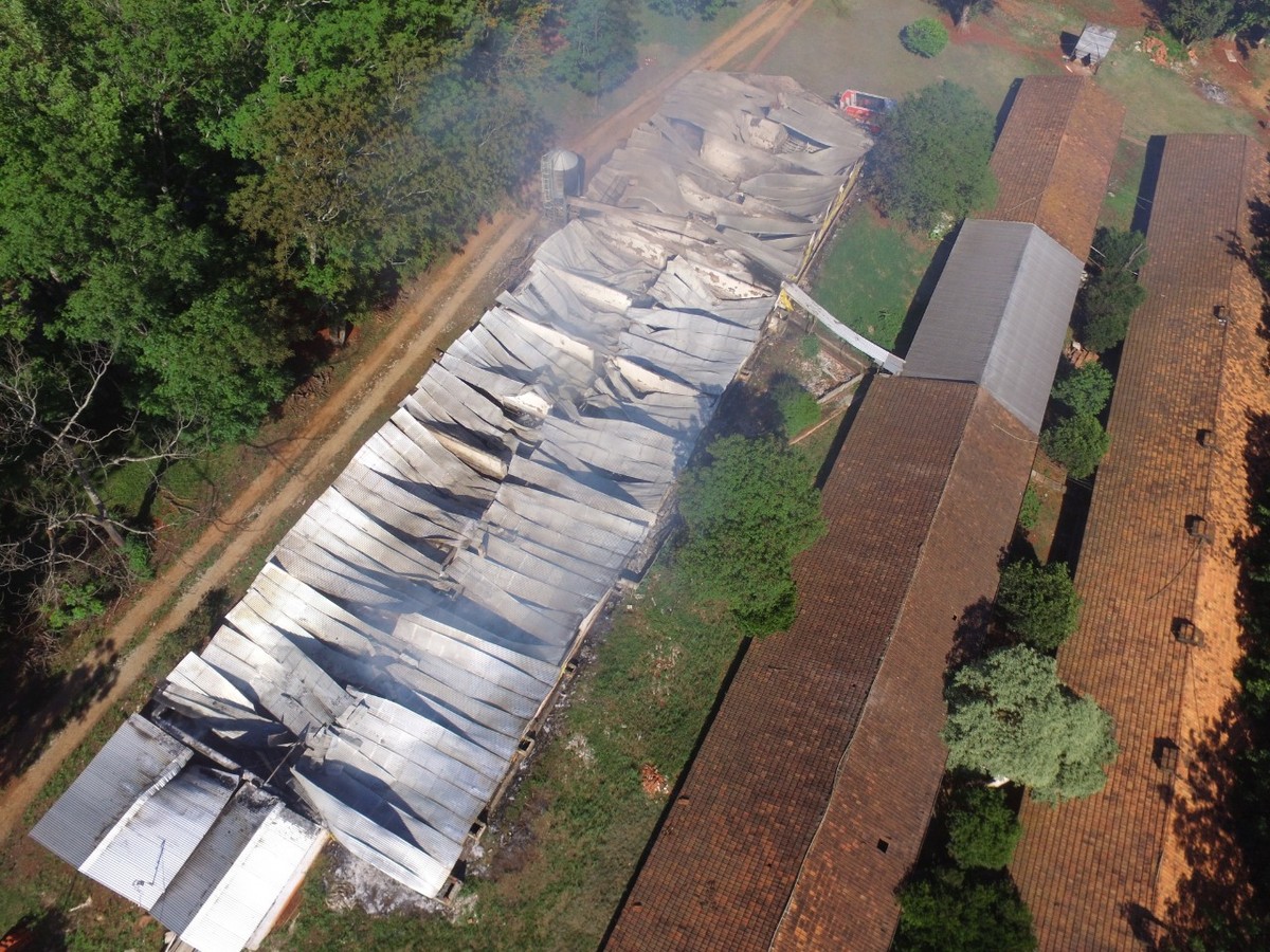 Conforme bombeiros, não há sinal aparente de incêndio criminoso. Proprietário produz porcos para empresa de alimentos. Um chiqueiro de porcos pegou fogo na madrugada desta sexta-feira (25) em uma propriedade […]