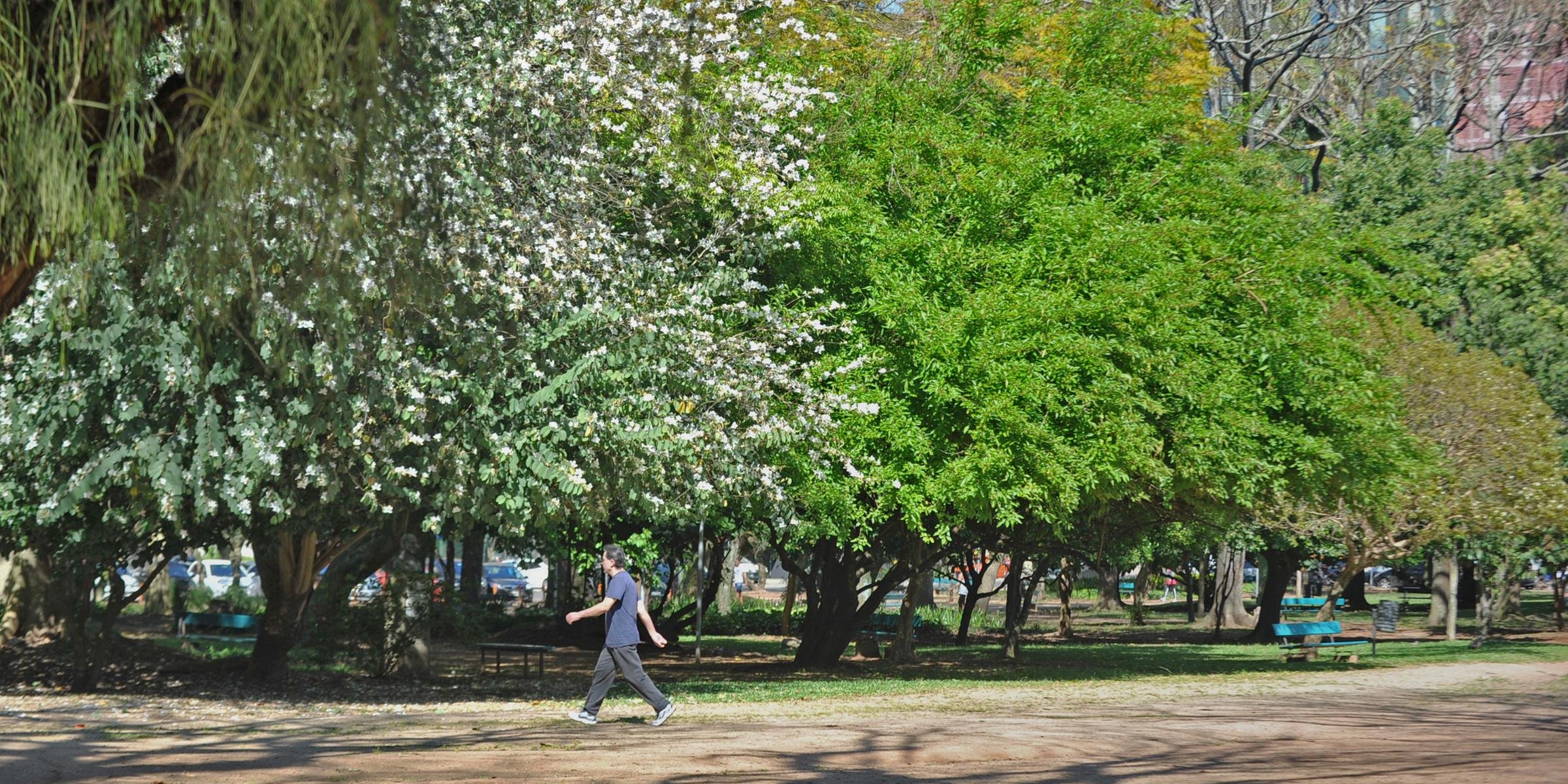 Porto Alegre terá temperatura mínima de 18ºC e máxima de 33ºC O sol aparece entre nuvens nesta segunda-feira no Rio Grande do Sul. Entretanto, algumas regiões podem registrar maior presença […]