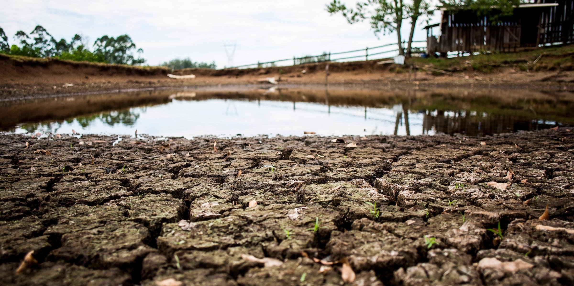 Outros 13 municípios relataram danos pela falta de chuva Subiu de 74 para 76, desde o fim de semana, o número de cidades gaúchas que decretaram situação de emergência em […]