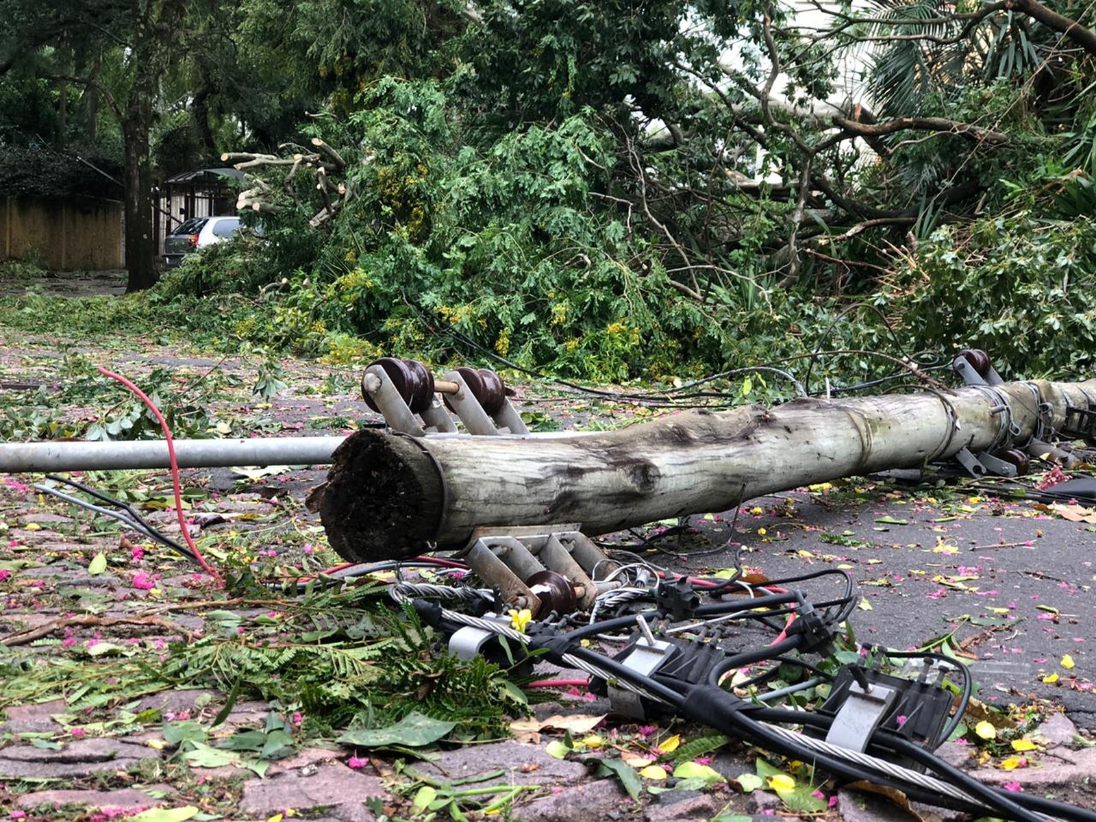 Várias cidades tiveram registro de falta de energia. Árvores e postes caíram, casas foram destelhadas e ruas ficaram interditadas. Após dias de calor, a chuva atingiu parte do Rio Grande do […]