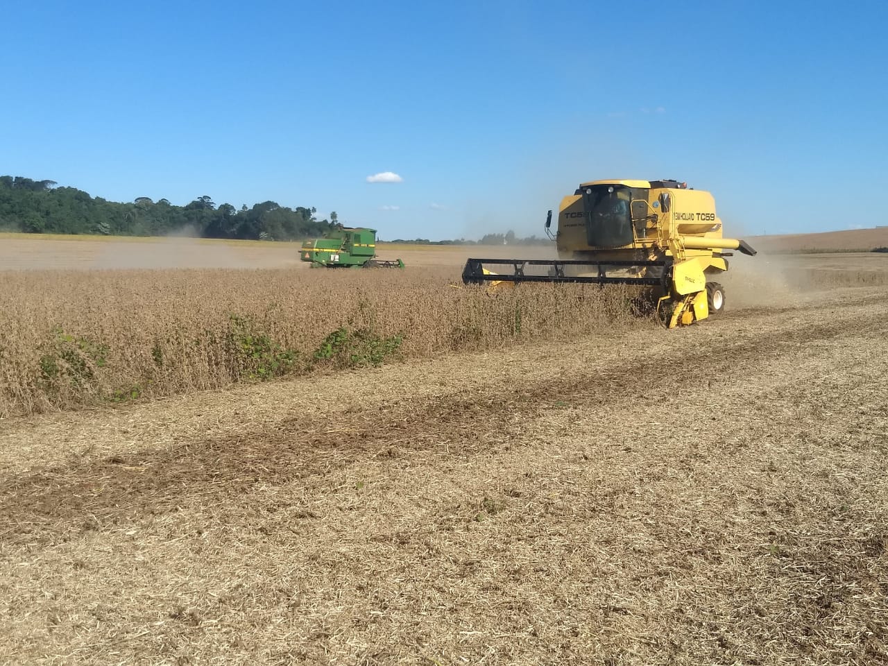 As lavouras de soja no Rio Grande do Sul estão com 39% das áreas cultivadas colhidas, o que representa mais que a duplicação em uma semana, visto na semana passada […]