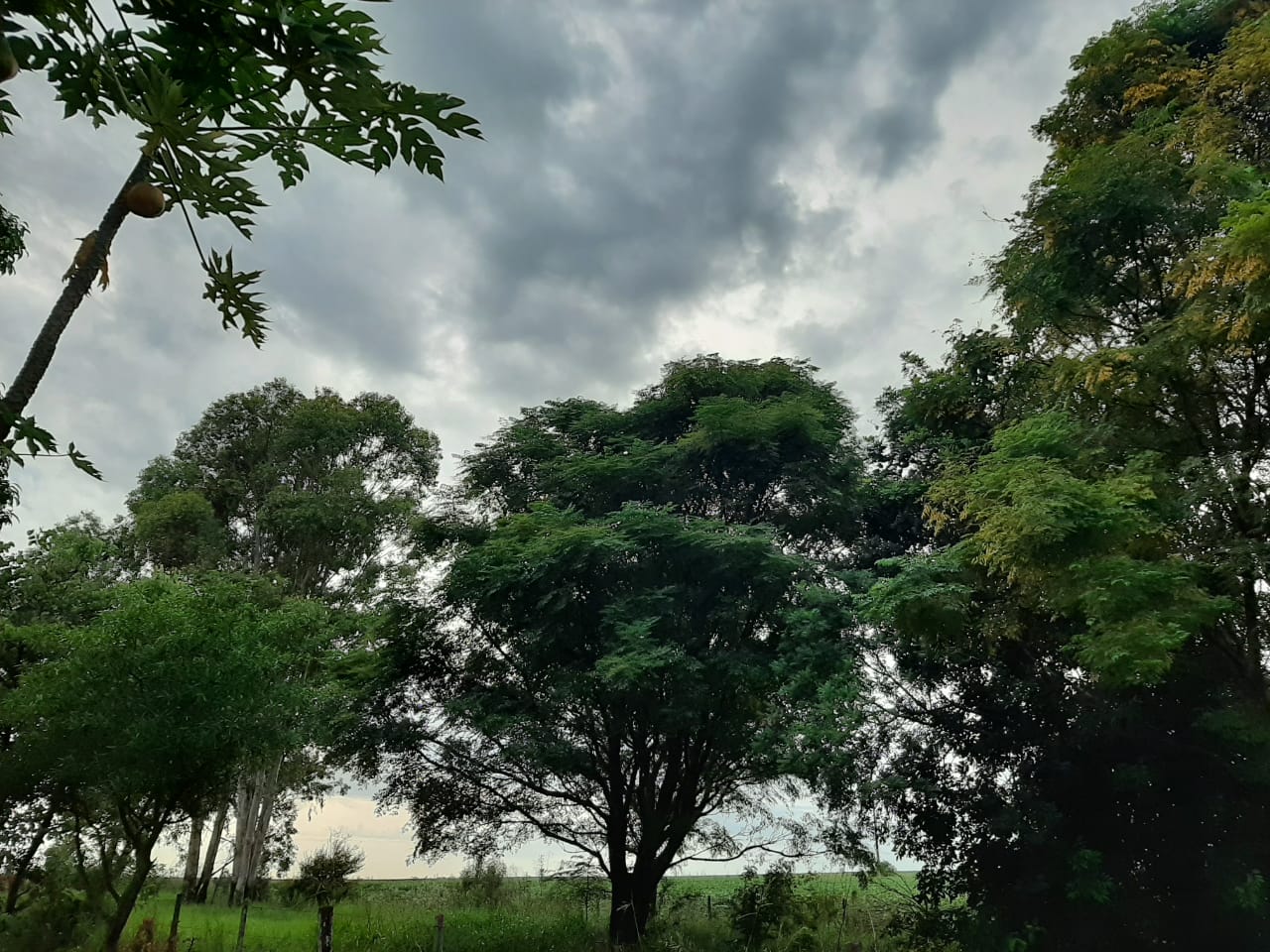 Chuva isolada não está descartada O sol deve aparecer entre nuvens nesta quinta-feira no Rio Grande do Sul. No entanto, ainda há períodos de maior nebulosidade em parte do Estado. […]