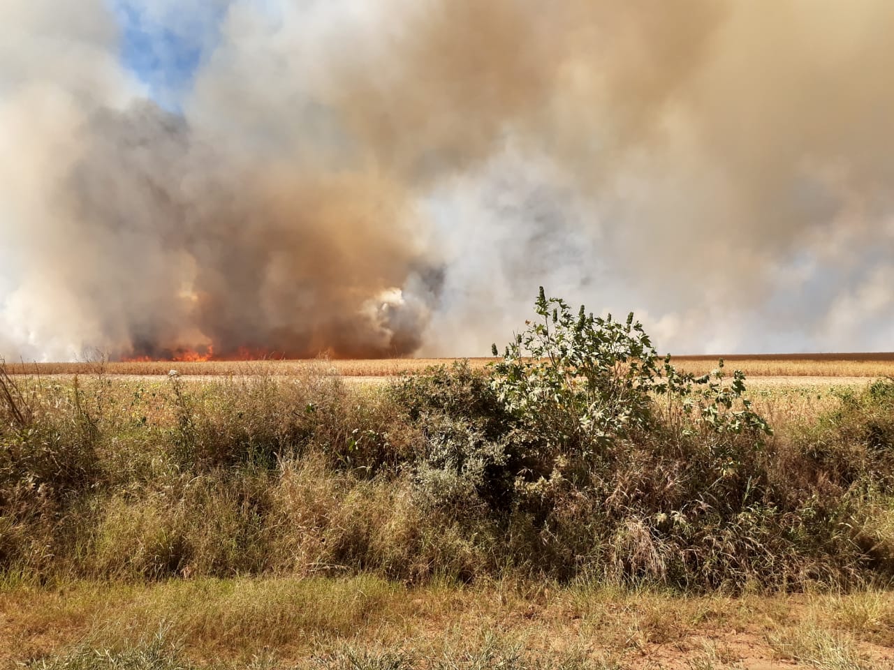 Na tarde desta quarta-feira(25) , ocorreu um incêndio na lavoura de propriedade do sr. Arde Jaeger, agricultor aqui da cidade de Bossoroca. O fogo teve início aproximadamente as 14:00 h. […]