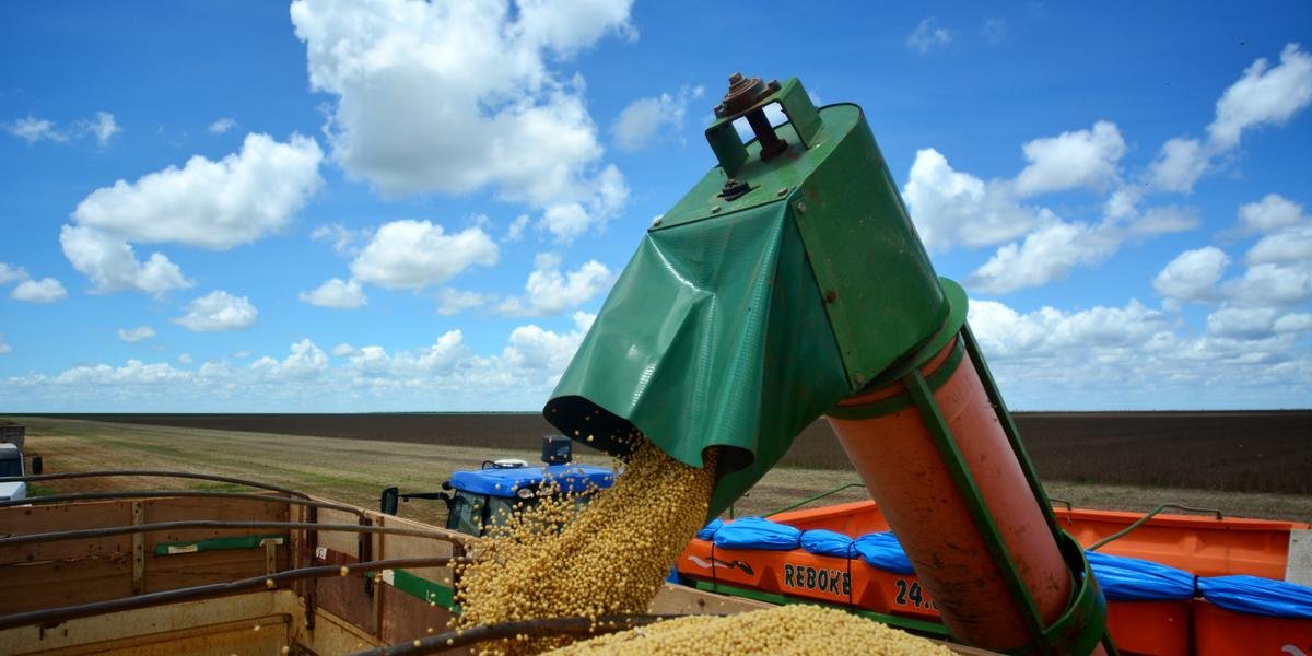 Jornal de Pequim relatou preocupação das autoridades do país com a possibilidade das exportações serem afetadas pela Covid-19 O Brasil, principal exportador de soja do mundo, espera manter suas vendas […]