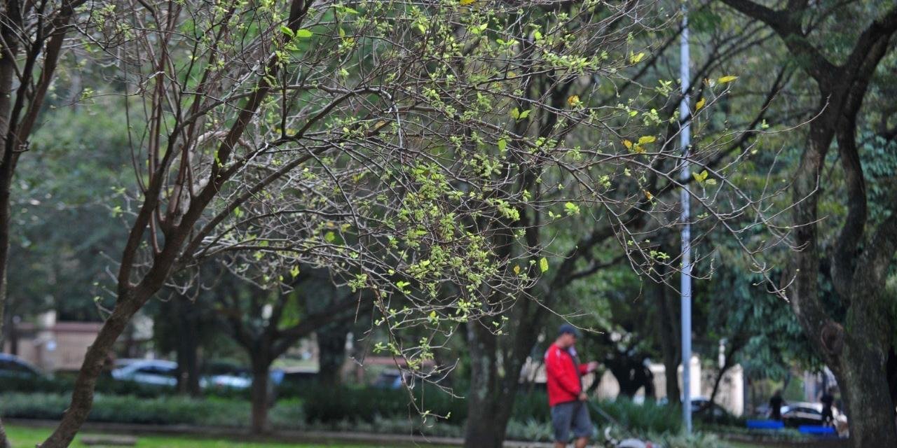 Em Porto Alegre, dia será de sol com chuvas em locais isolados Ao contrário do que ocorreu nesta quarta-feira, em que os termômetros chegaram a marcar 30°C em Porto Alegre, […]