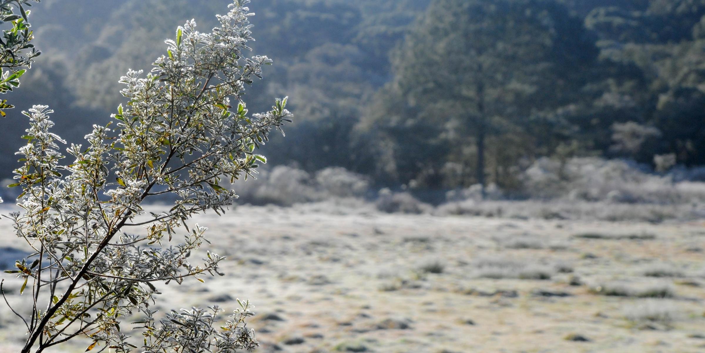 Chuva retornará na quinta e irá anteceder calor atípico no final de semana A exemplo dessa terça-feira, esta quarta iniciou de maneira congelante na maioria das regiões do Rio Grande […]