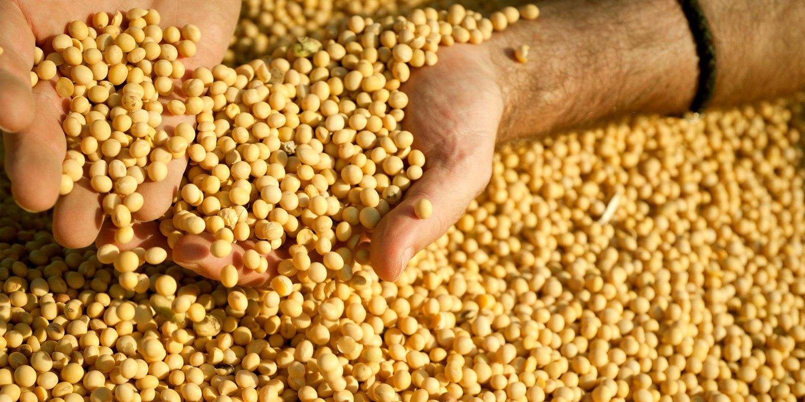 Setor agropecuário se adapta às lições trazidas pela pandemia do novo coronavírus e deve passar a investir mais em inovação e tecnologia Considerado um segmento produtivo dos mais tradicionais, o […]