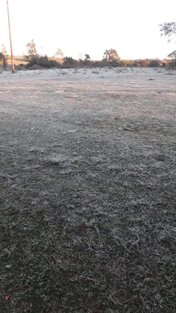 Cidades da Zona Sul do Estado apresentaram temperatura de -6,7ºC A sexta-feira no Rio Grande do Sul será marcada pelo frio intenso na maioria das regiões. As primeiras horas manhã […]