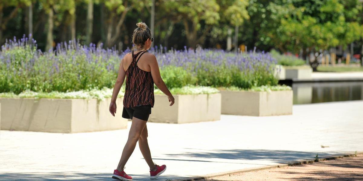 Dia deve ser agradável e com máximas acima dos 25°C na maioria das regiões O sol predomina mais uma vez em quase todo o Estado neste sábado. Em áreas do […]