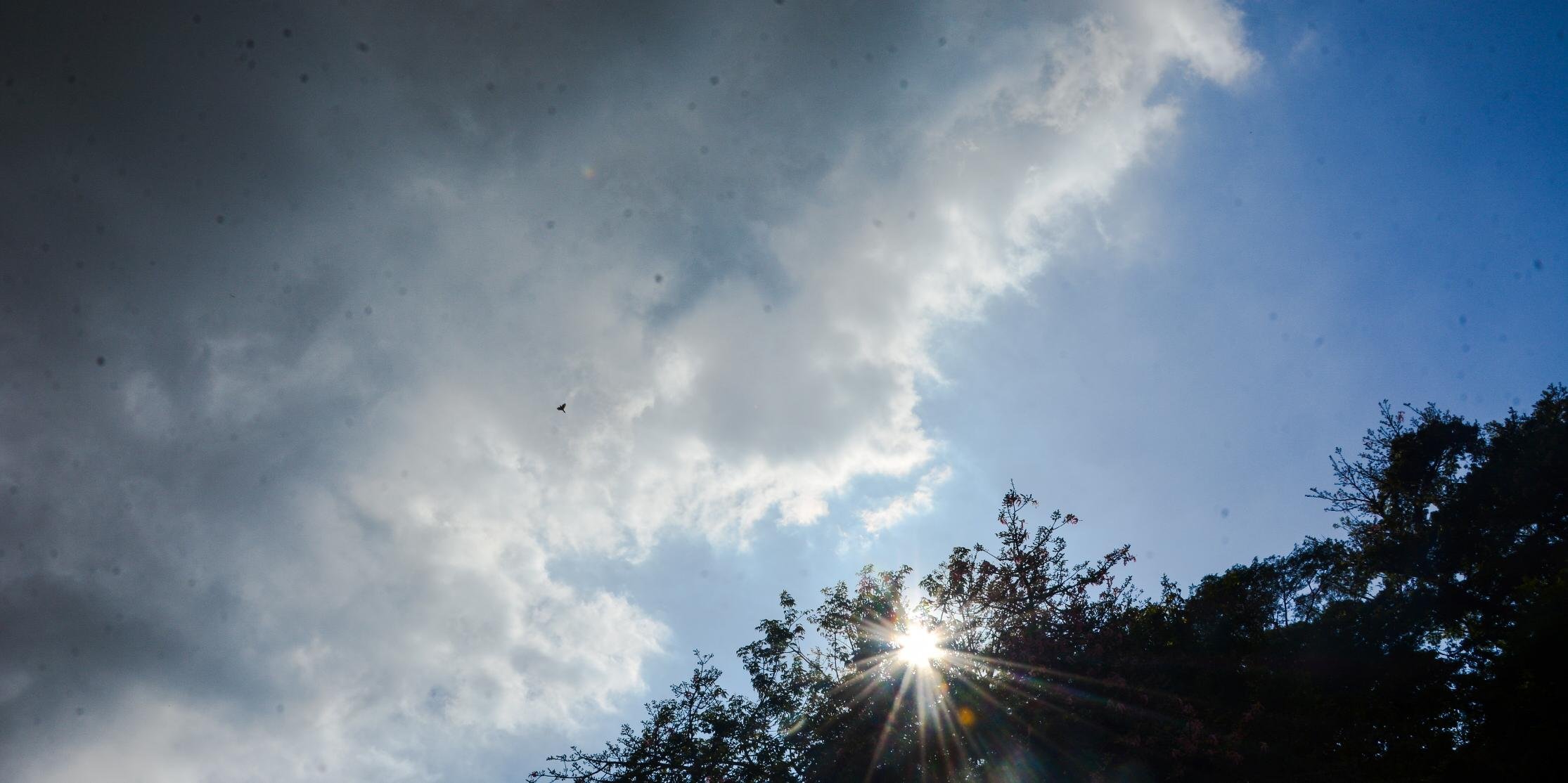 Em Porto Alegre, temperatura sobe um pouco e máxima chega a 26°C O sol aparece com nuvens em todo o Rio Grande do Sul nesta quarta-feira, entretanto em algumas áreas […]