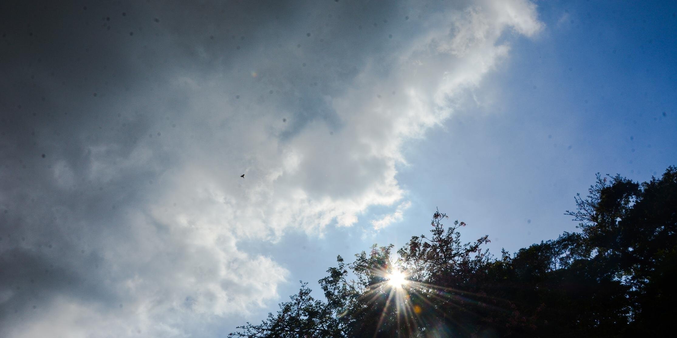 Máxima em Porto Alegre deve ser de 29°C durante a tarde O Rio Grande do Sul terá uma quinta-feira com sol em todo o Estado. No entanto, nas regiões Sul […]