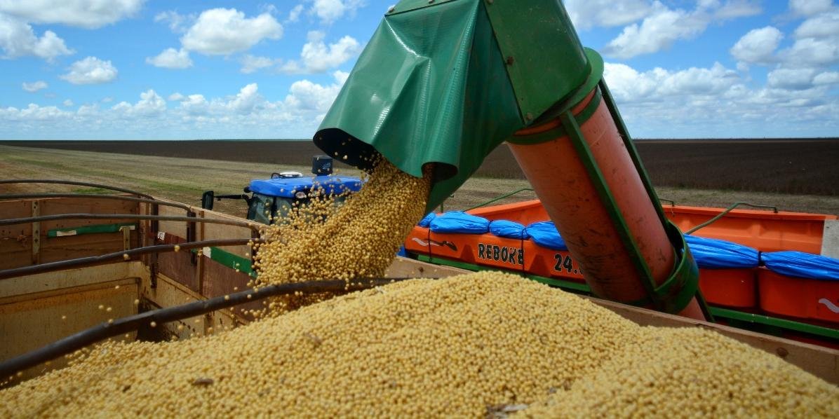 Indicador foi puxado pela agropecuária, que teve desempenho positivo de 42,2% em relação ao ano anterior Após mais um ano de efeitos diretos provocados pela pandemia de coronavírus e pela […]