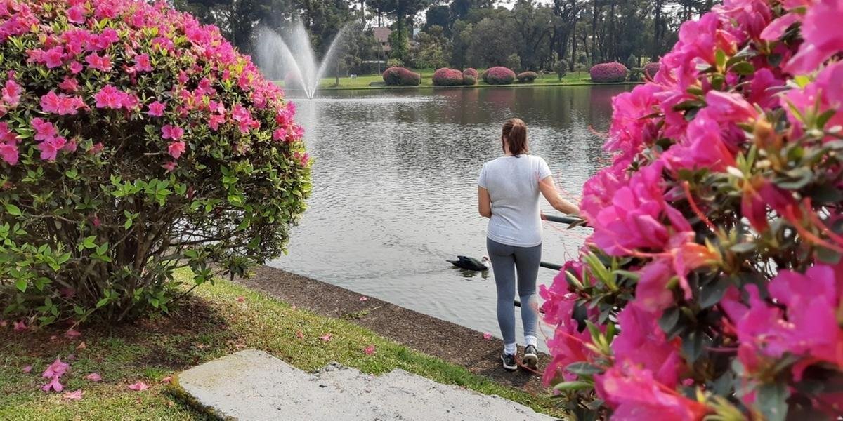 Amanhecer da quarta-feira pode ter frio em algumas regiões O sol aparece entre nuvens na maior parte do Rio Grande do sul nesta quarta-feira, primeiro dia da primavera. Uma massa de […]