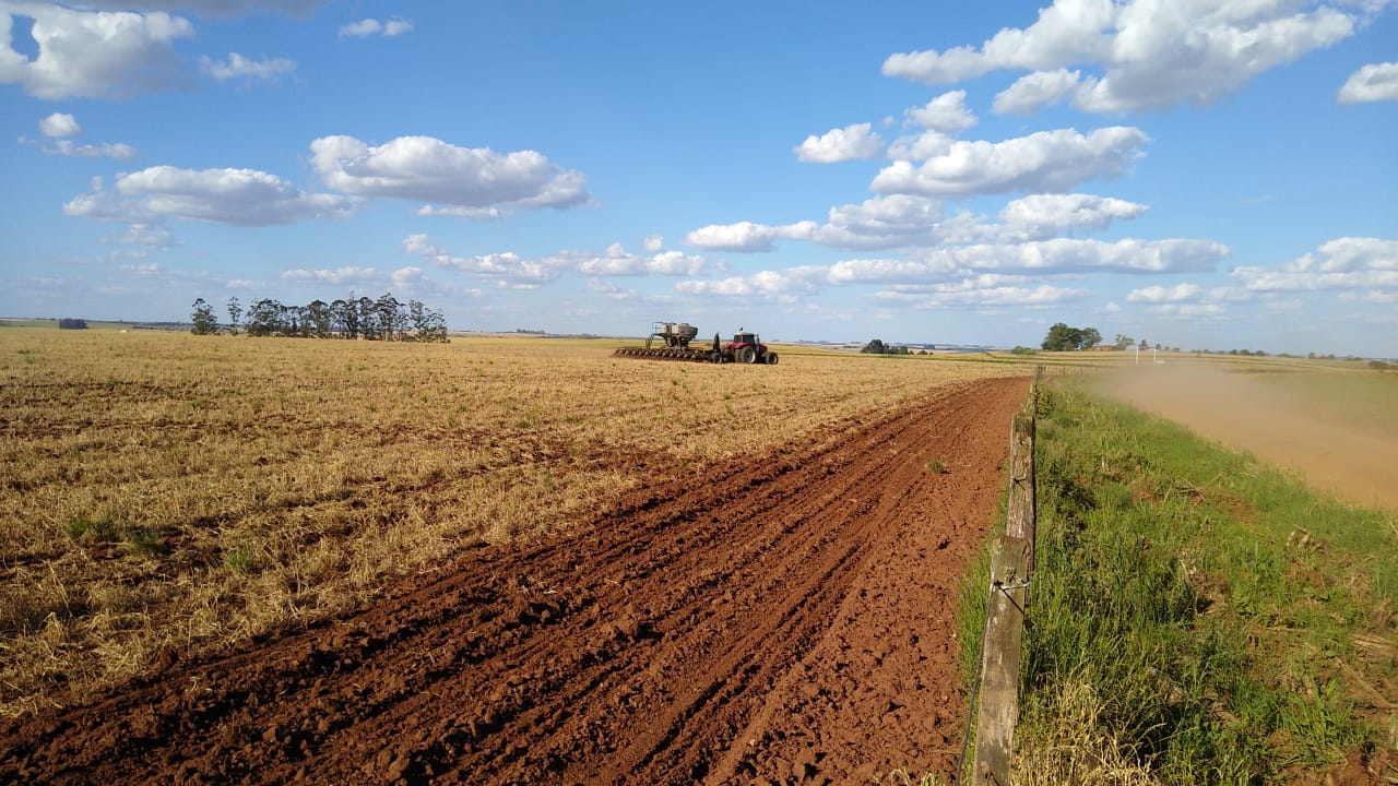 Nas regiões administrativas da Emater/RS-Ascar de Ijuí, Santa Rosa, Porto Alegre, Santa Maria, Soledade, Bagé, Frederico Westphalen e Pelotas, produtores iniciam a semeadura da soja. A elevada umidade no solo [&hellip;]