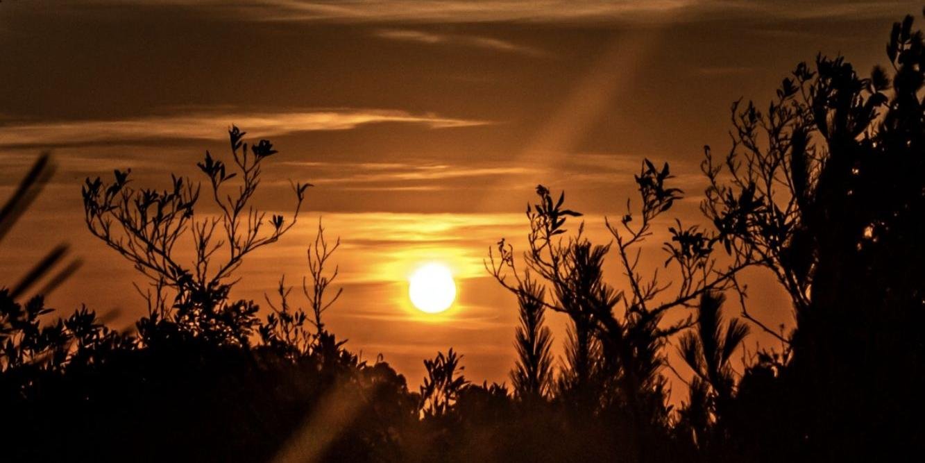Região Oeste deve ter as temperaturas mais altas O sol predomina mais uma vez no Rio Grande do Sul nesta quarta-feira. A massa de ar quente segue agindo sobre o […]