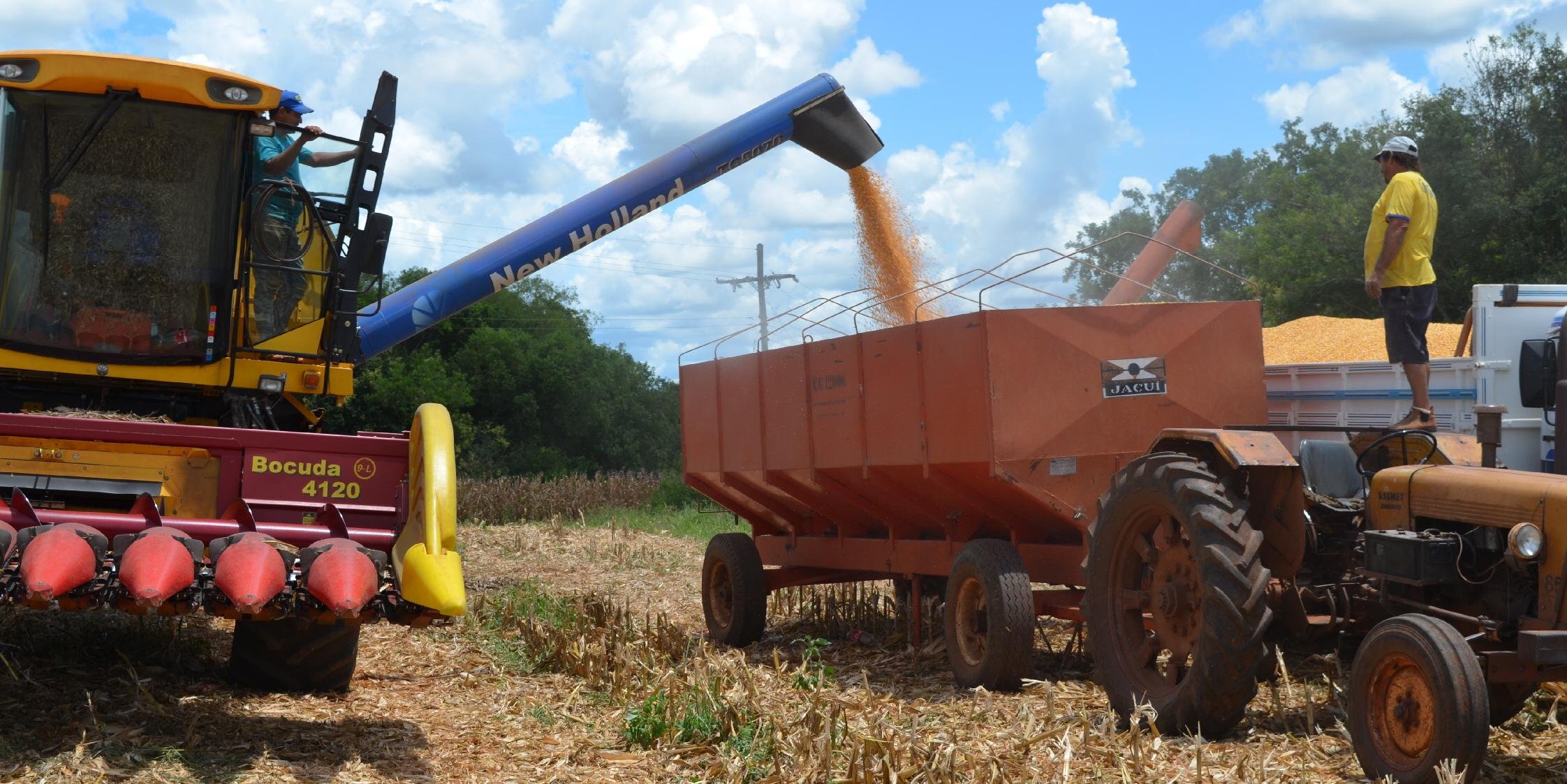 Exportação de matérias-primas e a indústria de tratores e equipamentos agrícolas devem crescer mais do que outros setores O agronegócio e setores correlatos, como a indústria de tratores e equipamentos, […]