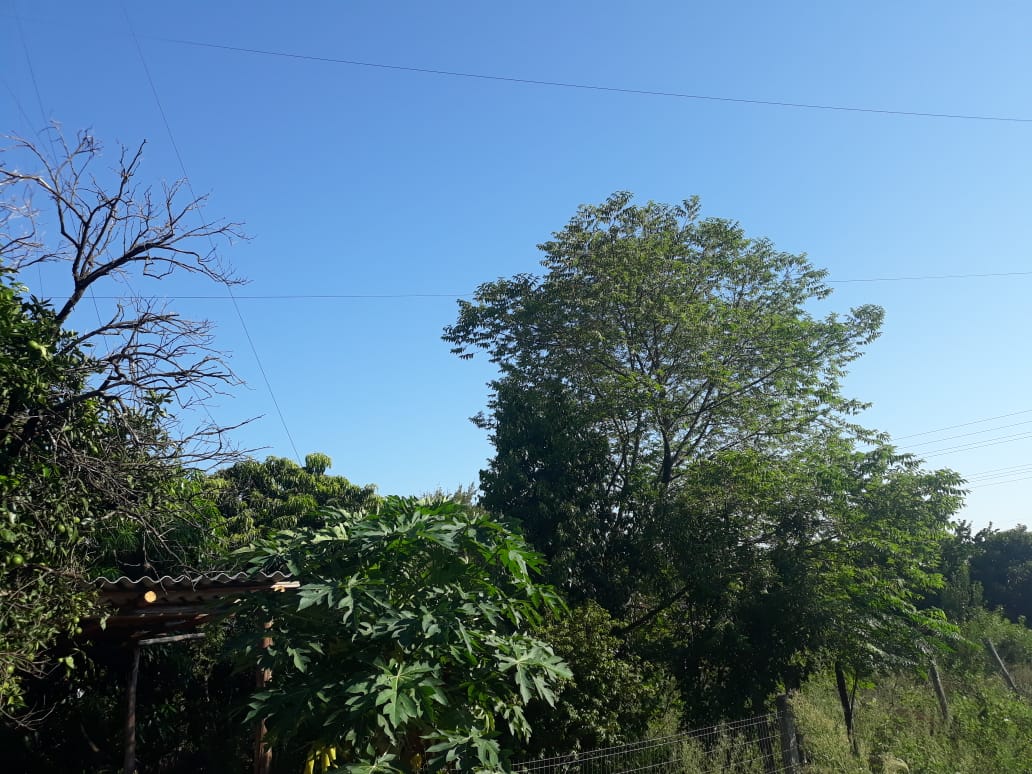 Termômetros podem se aproximar de 40ºC em alguns pontos O sol predomina no Rio Grande do Sul durante esta quarta-feira e aparece em todas as regiões. Nuvens esparsas devem se […]