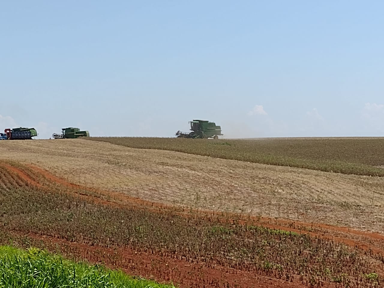As chuvas ocorridas entre os dias 21 e 25 de fevereiro repuseram de forma parcial a umidade nos solos e beneficiaram as lavouras de soja que estão em floração (18%) […]