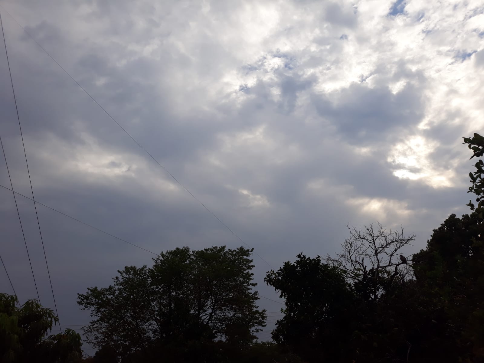 Ar mais seco e frio avança pelo Estado no final de semana Após dias seguidos de chuva, o tempo melhora e o Rio Grande do Sul deve ter um sábado […]
