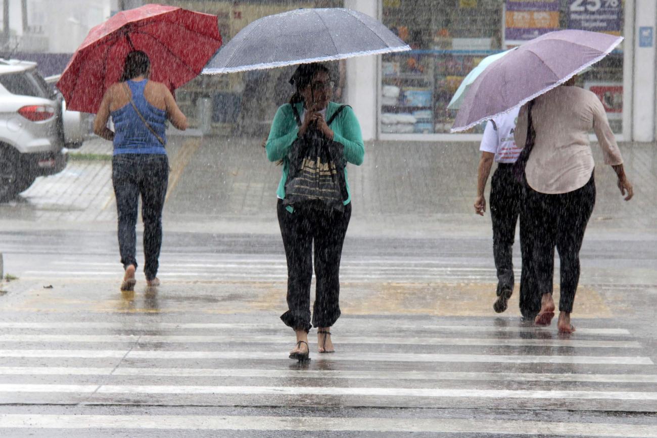 Chove mais nos vales, Grande Porto Alegre, Serra e Litoral Norte Esta sexta-feira será mais um dia em que os gaúchos terão tempo fechado e céu encoberto. Chove e garoa […]