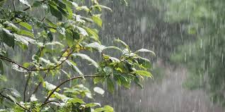 MetSul alerta para alto risco de chuva localmente forte a torrencial, com queda de raios Se o último dia do outono teve céu azul e tarde agradável no Rio Grande […]