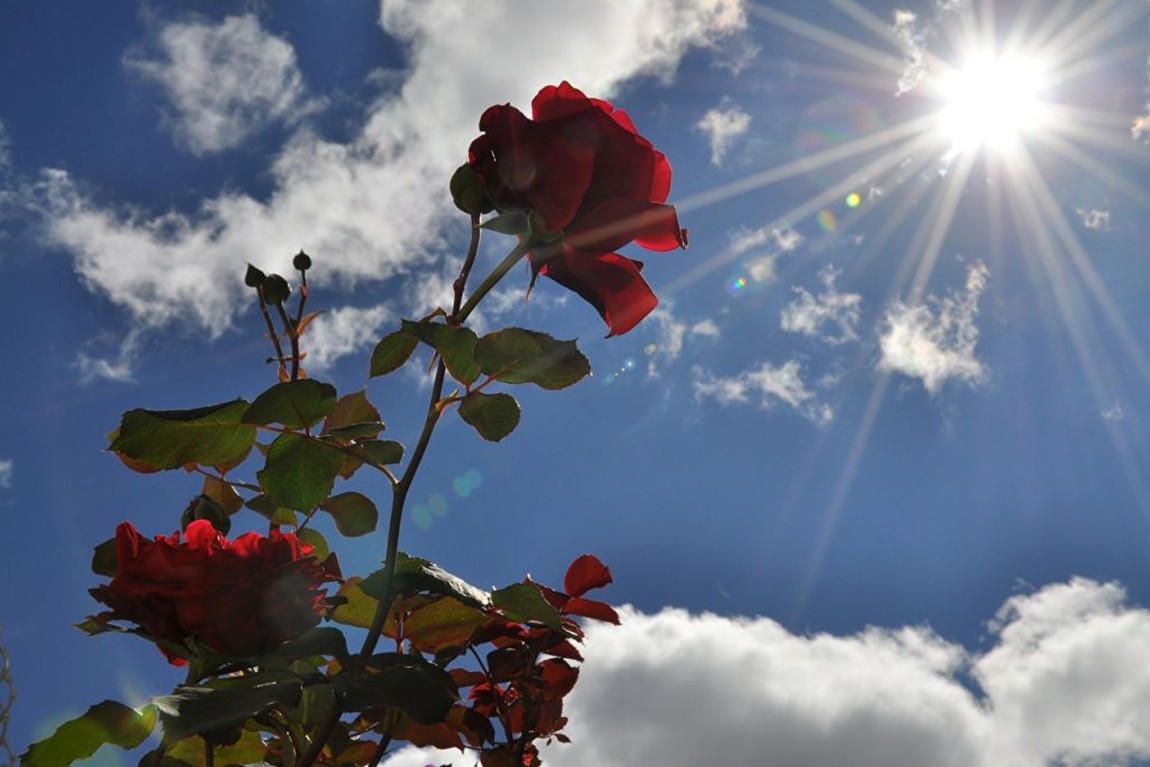 Faz um pouco de frio cedo, mas a tarde deve ter temperatura agradável em todo o Estado O sol aparece com nuvens na maior parte do Rio Grande do Sul […]