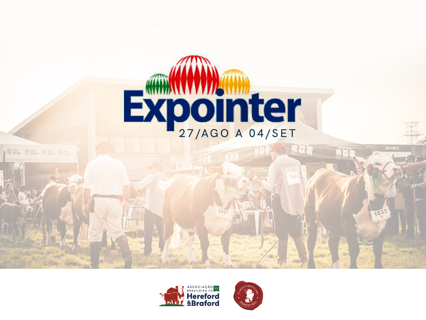 A Expointer, uma das maiores feiras agropecuárias do Brasil, começa neste sábado (27) no Parque de Exposições Assis Brasil em Esteio, na Região Metropolitana de Porto Alegre. Ao todo, mais de 6,3 mil animais foram […]