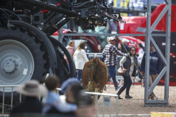 Passava das 12h30min deste domingo (4) e o sol aquecia os mais de 100 mil visitantes presentes no último dia da Expointer — centenas deles nas arquibancadas da arena da 40ª edição do Freio de […]