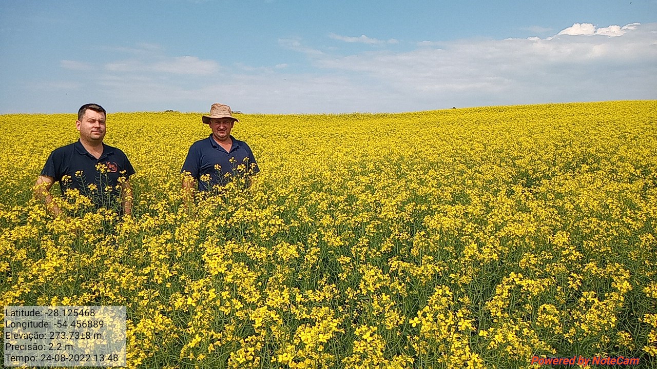 A canola vem avançando sobre os campos do Noroeste gaúcho nos últimos anos. Nos municípios de abrangência da Emater/RS-Ascar, na região administrativa de Santa Rosa, em relação ao ano passado, […]