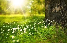 A chegada da primavera nesta quinta-feira será com muitas nuvens e chuva em grande parte do Rio Grande do Sul, embora não alcance todas as cidades, como no Noroeste do Estado. No decorrer […]