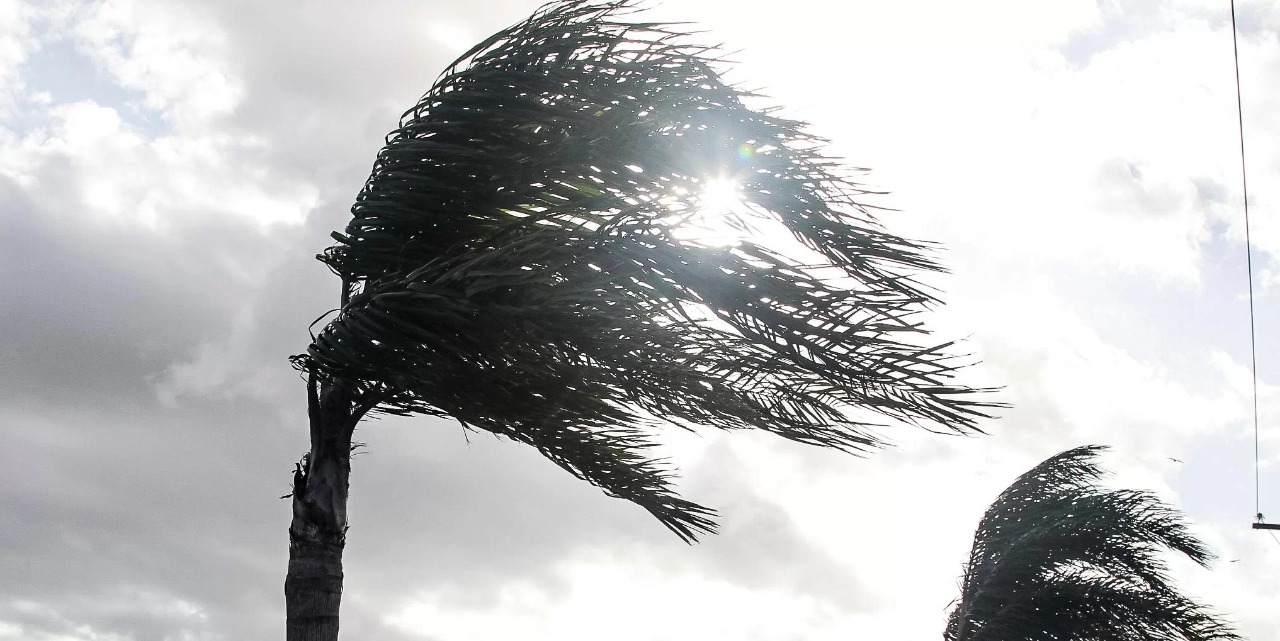 MetSul alerta que vendavais podem passar dos 80 km/h, com temporais na Metade Norte A sexta-feira começa com nuvens e chuva em diferentes pontos do Rio Grande do Sul, mas […]
