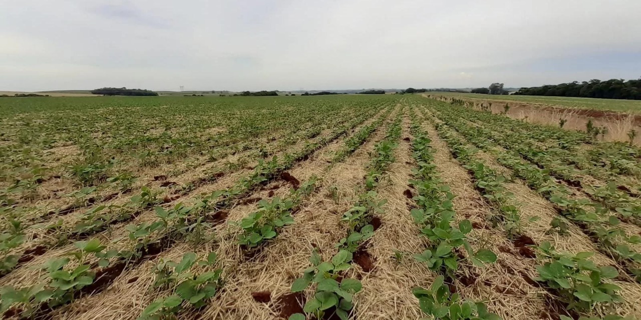 Diminuição é importante para que possível inflação futura parta de uma base menor O Índice de Inflação dos Custos de Produção (IICP) caiu 4,04% em setembro, o que representa a quarta […]