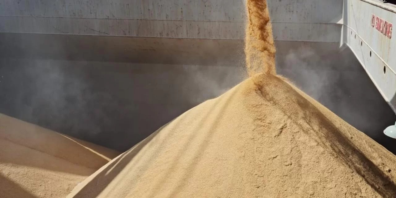Com nova remessa de 30 mil toneladas confirmada para ocorrer em dezembro, exportações do grão ao país devem crescer 87,5% em 2022 Os orizicultores devem fechar o ano exportando quase […]