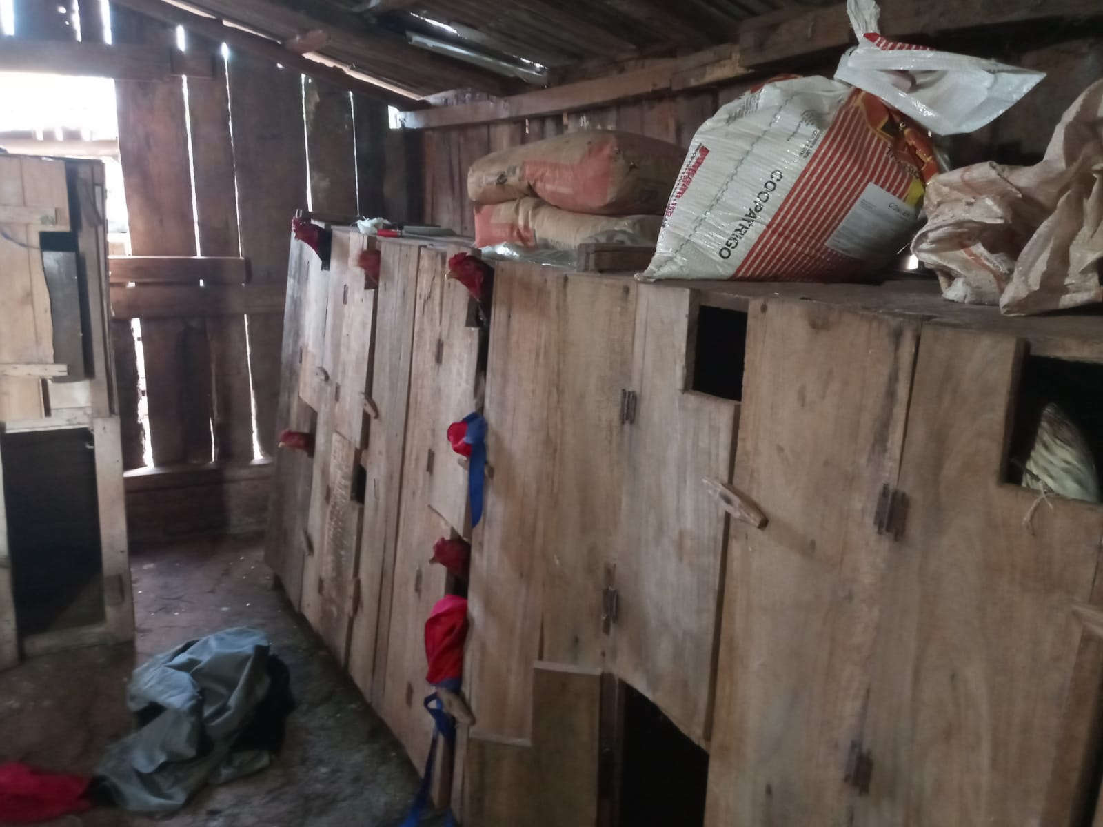 Na tarde do dia 29 de outubro, a guarnição da operação Agro-Hórus recebeu uma denúncia que estaria ocorrendo uma “rinha de galo” e que animais estariam sendo maltratados. Foram encontrados […]