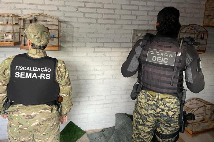 Agentes do Deic, acompanhados de técnicos da Secretaria do Meio Ambiente, cumprem mandados de busca e apreensão contra 11 caçadores que atuam na região Uma operação policial foi realizada nesta […]