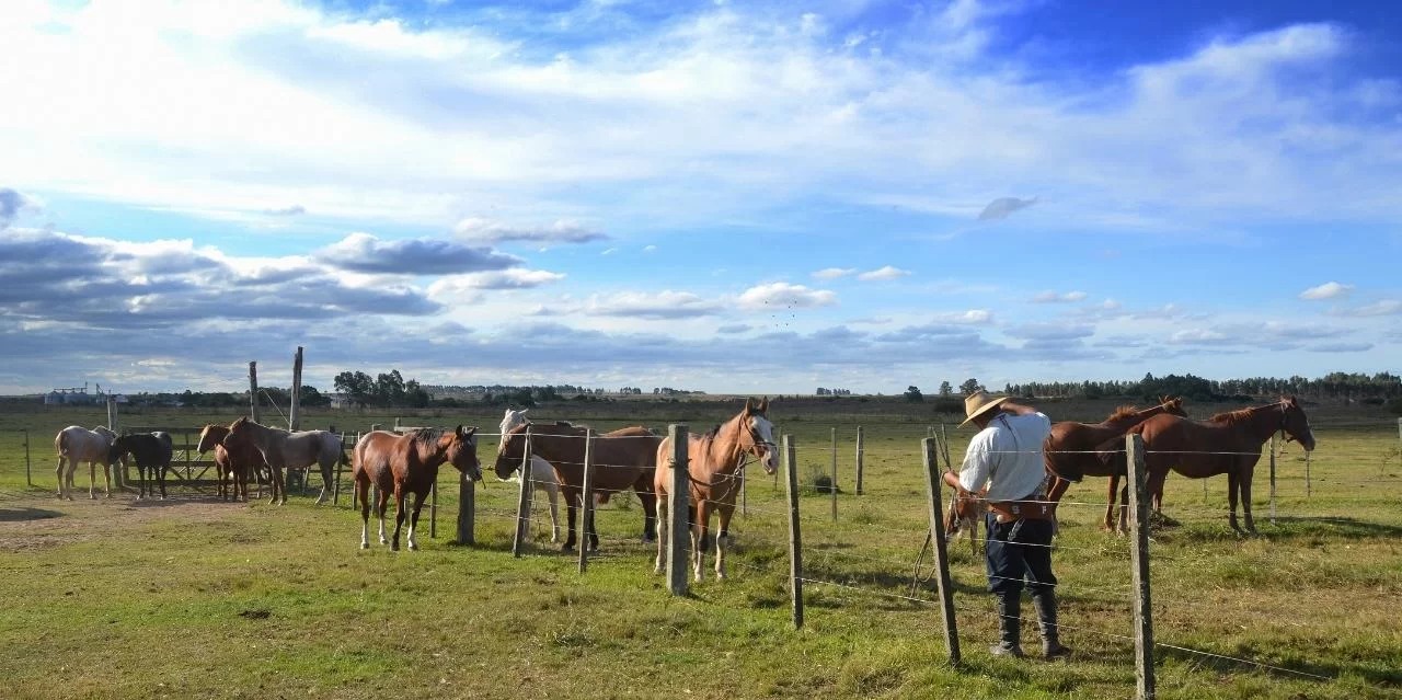 A Receita Federal estima que a operação já reduziu a sonegação de tributos em mais de R$300 milhões A Receita Federal notificou cerca de seis mil produtores rurais que não declararam plenamente […]