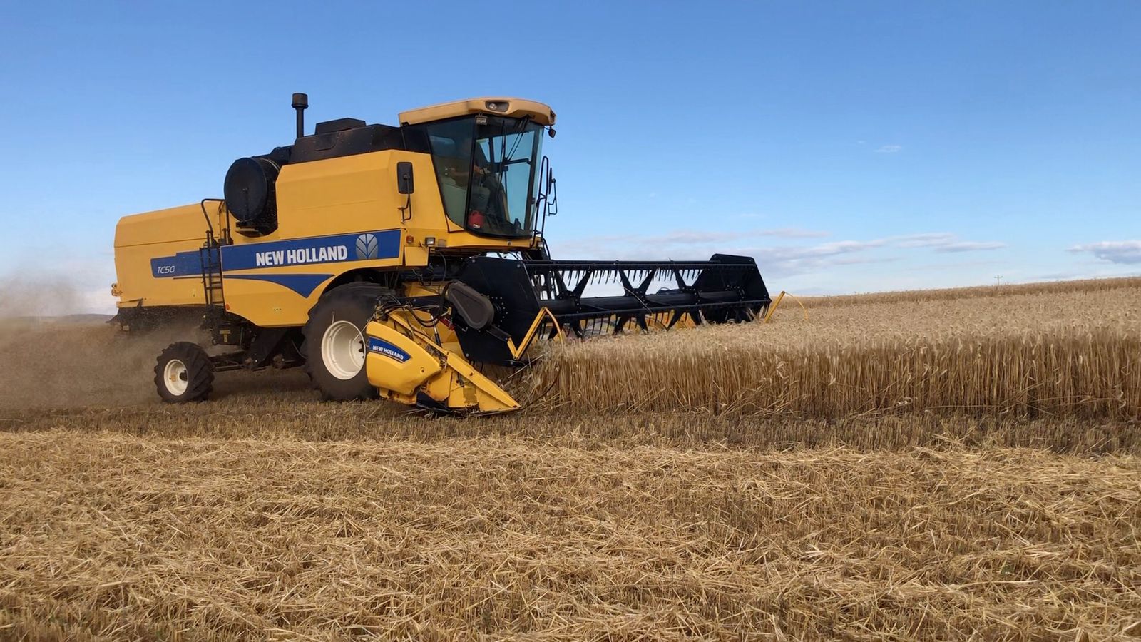 A área de cultivo do trigo alcançou 1.458.026 hectares no Estado. A cultura está em final de ciclo, com a maior parte das lavouras em maturação e pronta para a […]