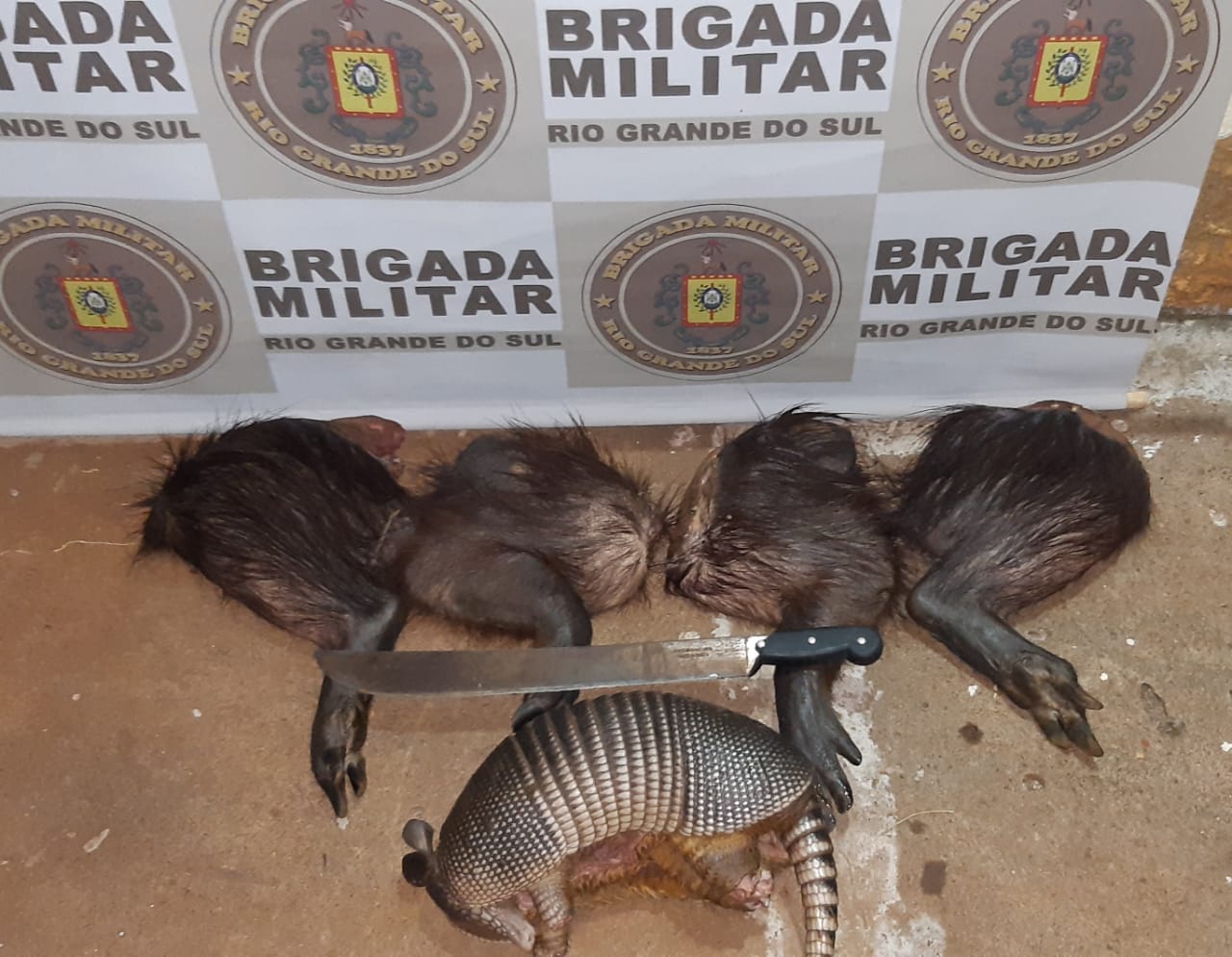 Por volta das 01h20min do dia 12 de dezembro de 2022, a Guarnição de Serviço da Brigada Militar de Bossoroca atendeu uma ocorrência de crime contra a fauna. Após denúncia […]