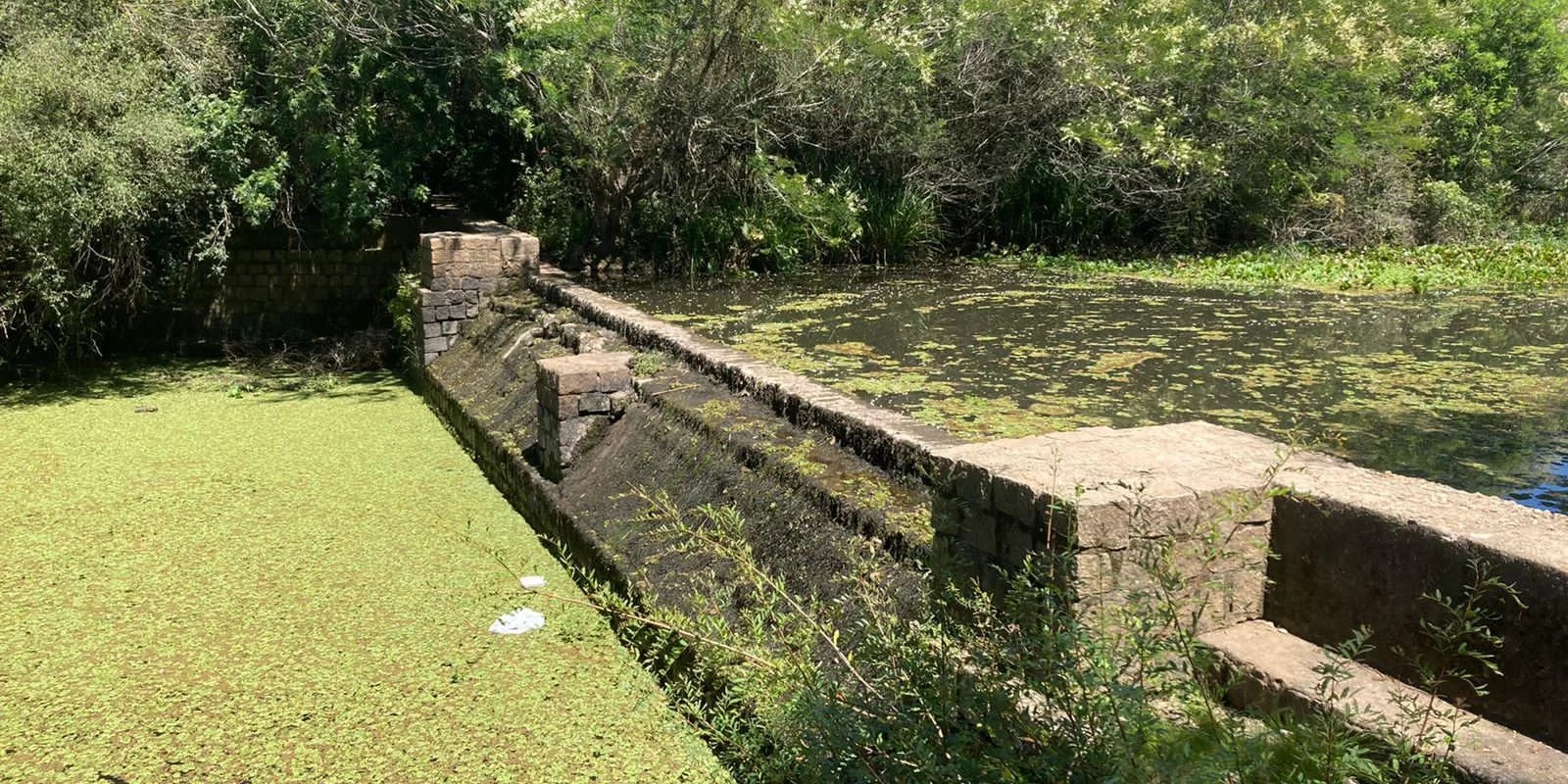Mesmo com a chuva do sábado, que resultou em transtornos pontuais em alguns municípios da região Sul, a maioria das cidades segue se mobilizando em busca de recursos para amenizar […]