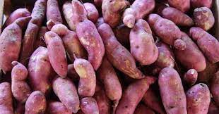 Ainda não há sinais de perdas para as verduras e hortaliças e o fornecimento da Centrais de Abastecimento do Rio Grande do Sul (Ceasa/RS) está normal, mas se não houver chuva o […]