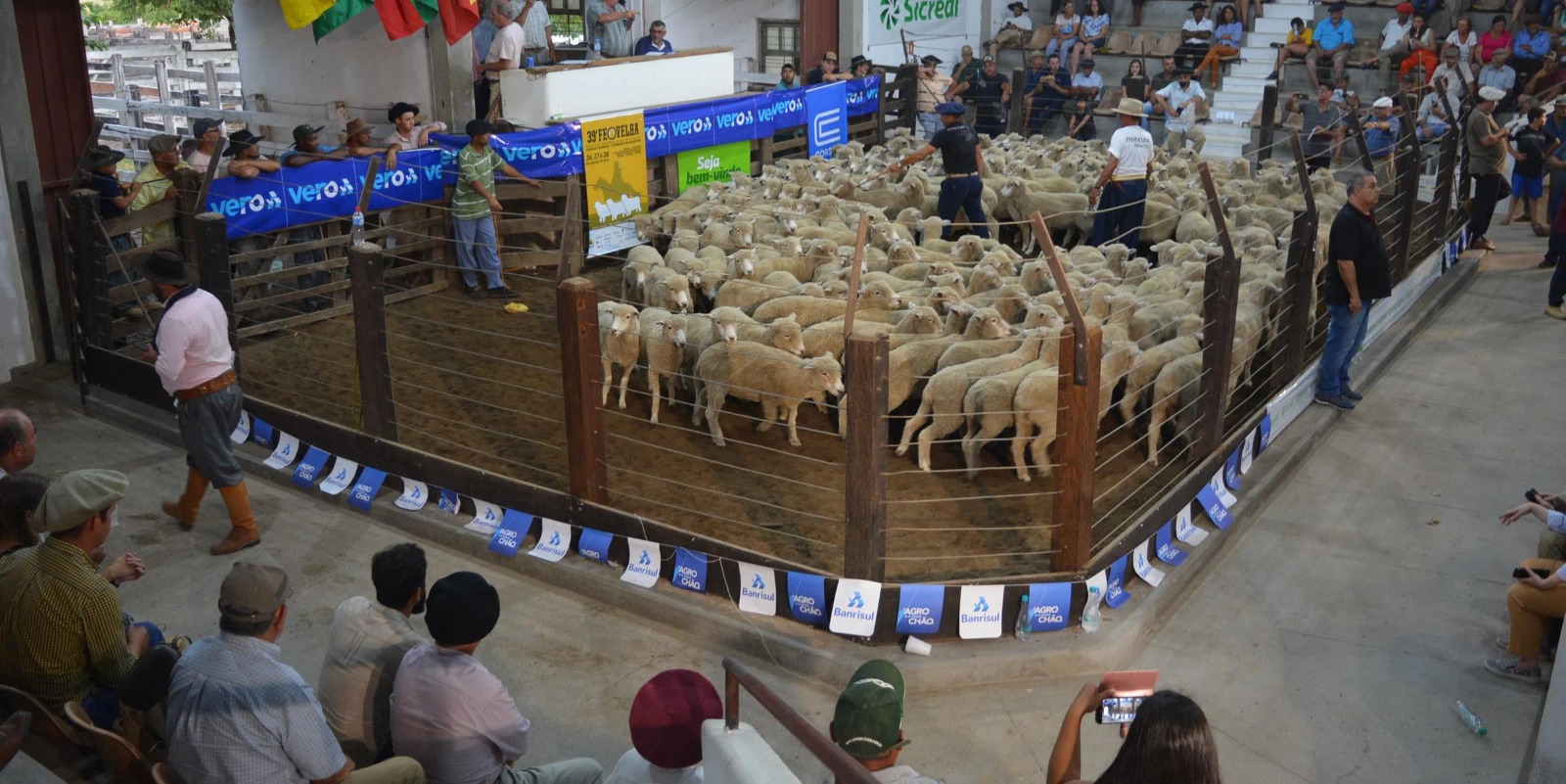 A Feira e Festa Estadual da Ovelha (Feovelha) 2023 comercializou 2.343 animais, o que representa um aumento de 58,8% em relação ao ano passado, quando foram arrematados 1.475 ovinos. O faturamento do […]