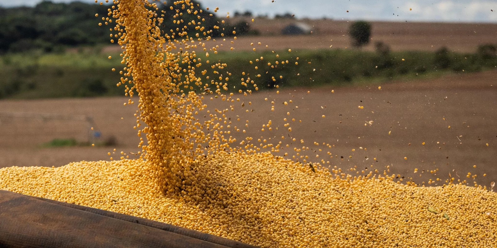 Expectativa atual é de 37,4 milhões de toneladas A Companhia Nacional de Abastecimento (Conab) reduziu a projeção para a safra de grãos do Rio Grande do Sul de 38,5 para 37,4 milhões […]