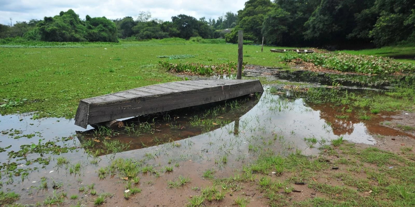 Nas regiões afetadas, seca agrava situação de produtor que já teve as finanças abaladas pelo problema na safra passada, alerta economista da Farsul Embora venham sendo divulgadas estimativas diferentes sobre […]