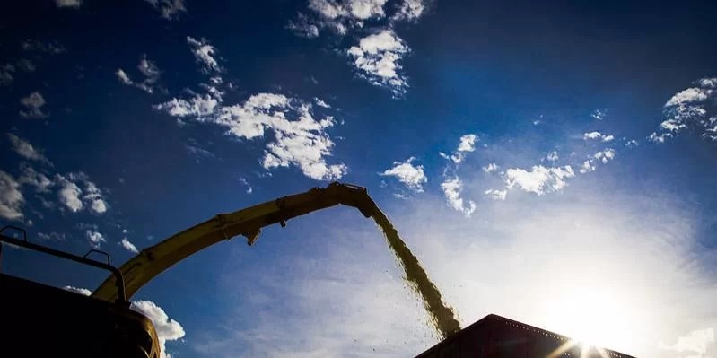 As vendas de máquinas agrícolas em janeiro caíram 30% em relação ao mesmo mês em 2022, disse nesta terça-feira, 28, o presidente da Câmara de Máquinas Agrícolas da Associação Brasileira […]