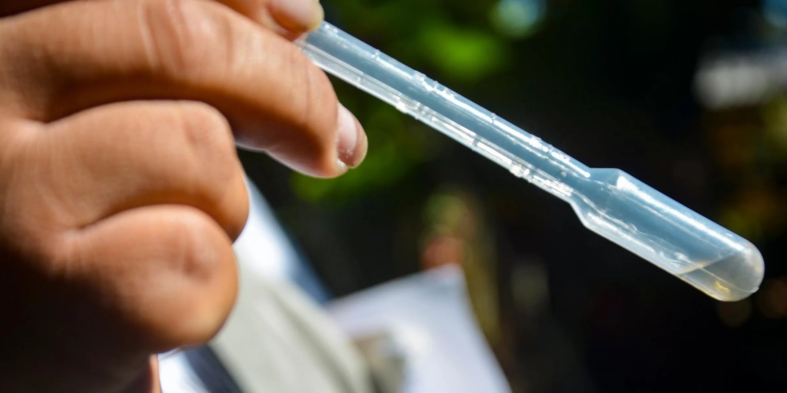 Produto, batizado de Qdenga, teve eficácia de 80% nos estudos clínicos A Agência Nacional de Vigilância Sanitária (Anvisa) aprovou nesta quinta-feira, 2, uma nova vacina contra a dengue, desenvolvida pela farmacêutica […]